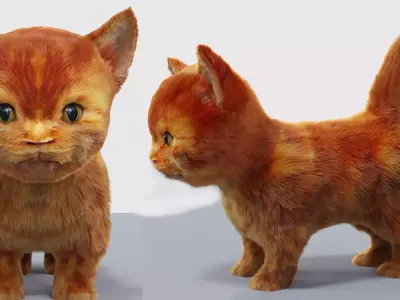 Fur Cute Cat kitten Red 02 No Rig Low-poly 3D model