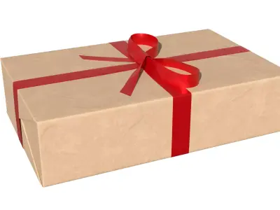 Wrapped Gift Box PBR 11 3D model