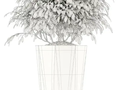 Plants collection 102 Awesomeplanters 3D model