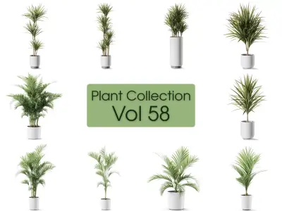 Plants collection vol 58