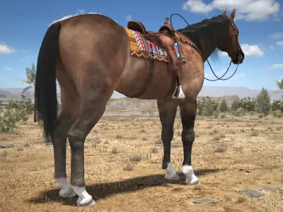 Cowboy Horse with saddle 3D model