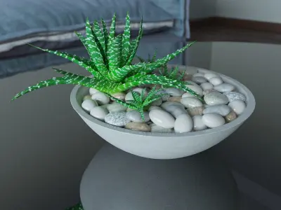 Succulents in bowl with stones 3D model