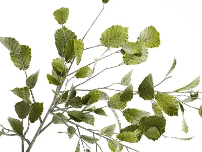 Green Floral Bouquet Of Branches With Leaves Vase 545 3D model