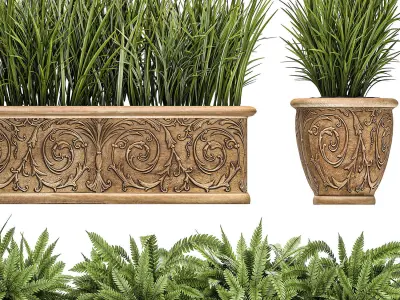 Ornamental bushes in classic flowerpots for parks and garden 494 3D model