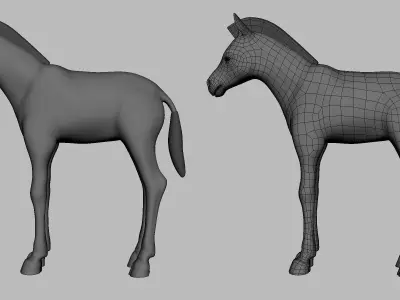 Baby Zebra Low-poly 3D model