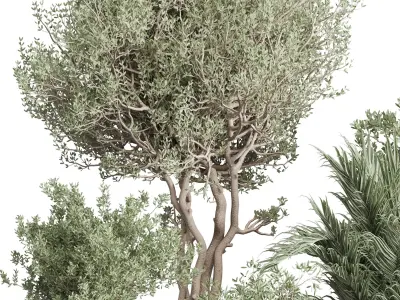 indoor plant set 401 tree palm bush in a concrete vases Low-poly 3D model