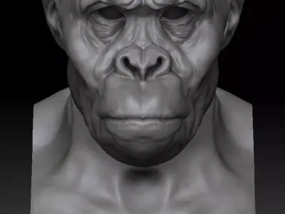 Ape Head 3D printing 3D model