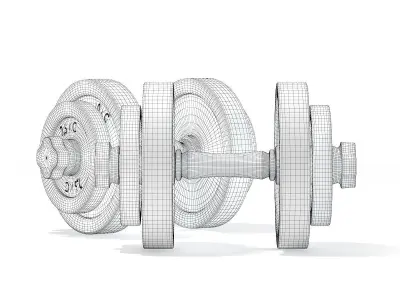Dumbbells 3D model