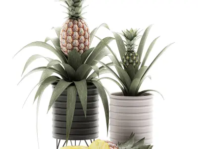 Decorative Pineapple in a pot for the interior 538 3D model