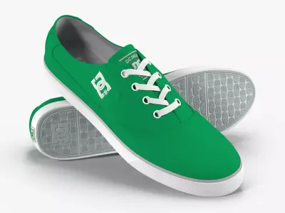 DC Shoes - Flash TX - Fern Low-poly 3D model
