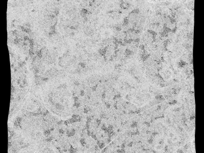 365-RockPanel stone wall 3D model