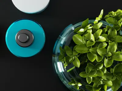 bathroom accessories 02 3D model