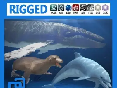 Pack - Marine Mammals 3D model