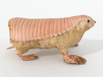 Pink Armadillo Low-poly 3D model