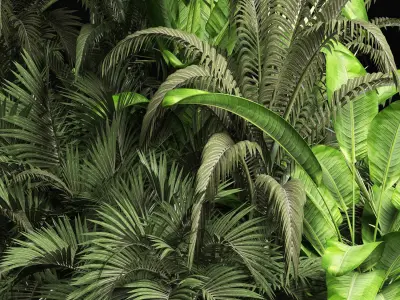 Plants Collection 209 Gardening Plants 3D model