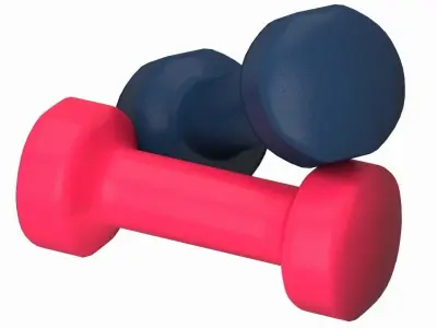 Dumbbell Gym   3D model