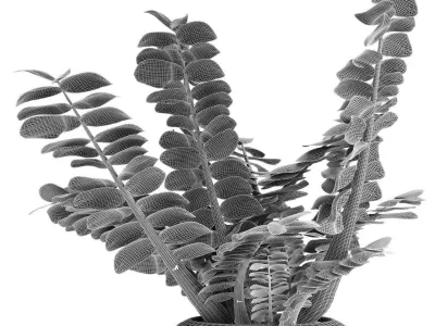 Plant in Pot Flowerpot Exotic Plant 3D model 11