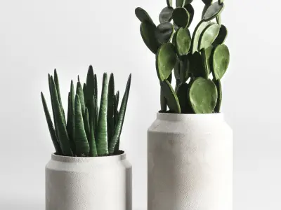 collection Indoor plant 33-concrate-vase Low-poly 3D model