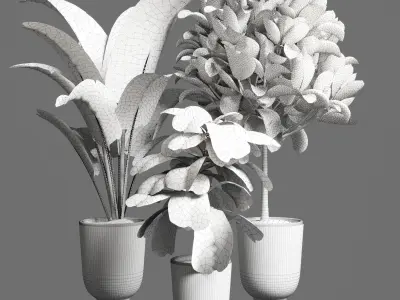collection Indoor plant 39 -concrete vase Low-poly 3D model