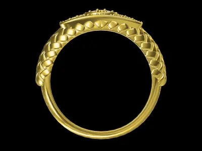 Texture RIng 3D print model