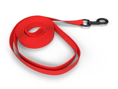 Pet Leash M03 Low-poly 3D model