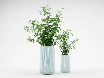 DECORATIVE PLANTS IN POTS 3D model