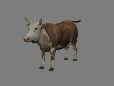 Cow Animated VFX Grace Low-poly 3D model