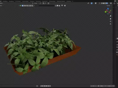 Plant Pot Decor 3D model