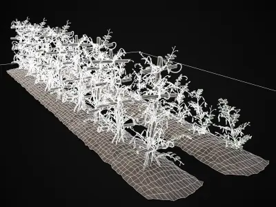 Crops Peas Plants Low-poly 3D model