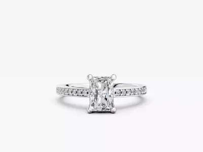 ZABS0016 RA engagement 3D print model