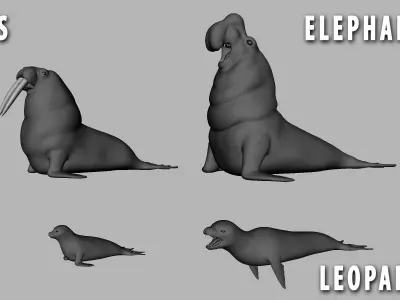 4Seal Pack  Low-poly 3D model