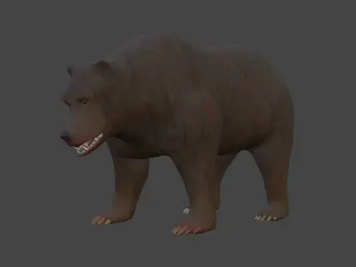 Grizzly Bear Low-poly 3D model 2