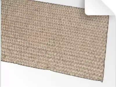 CARPET Free 3D model