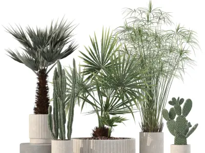 20 Photorealistic Flowers for Interiors - set 214 216 218 219 3D Model Collection