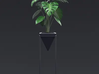 Cheese Plant III 3D model