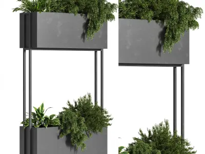 Indoor Plant Set 10 3D model