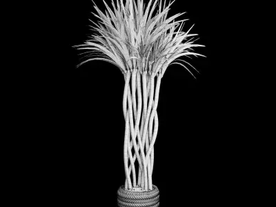 Plant 12 3D model