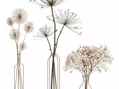 Flower In Vase Collection 06