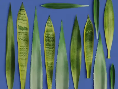 15 Leaves Atlas - 5 Species - PBR - 8K - SBSAR Low-poly 3D model