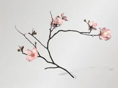 Sakura Branch Low-poly 3D model