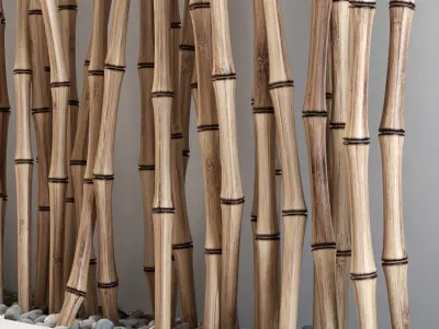 Bamboo thin branch decor n2  3D model