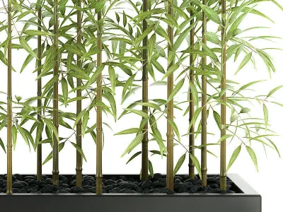 bamboo plant 3D model