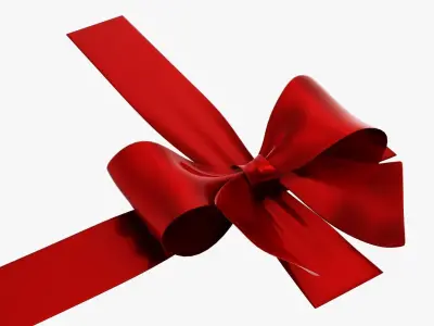 Wrapping bow 04 3D model