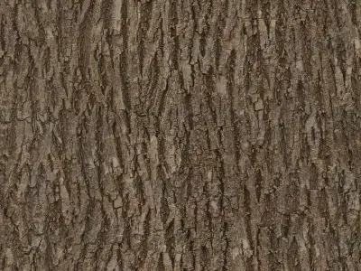 Environment Texture Free 3D model