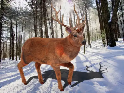 Fur Stag Deer Rigged Low-poly 3D model