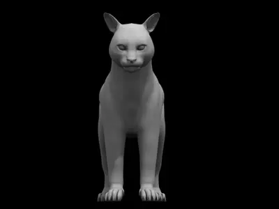 cat 3d model 3D model get