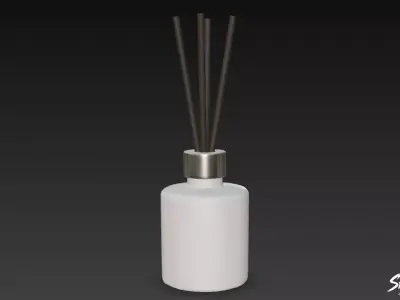 Reed Diffuser Low-poly 3D model