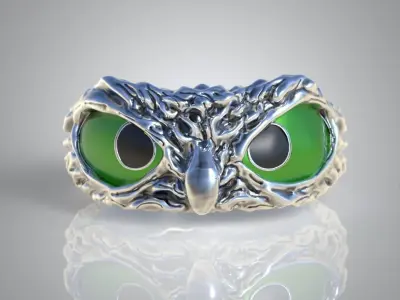 Owl Ring  3D printable model 0244 3D print model