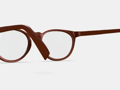 Amari Eyeglasses in Arabica Matte 3D model