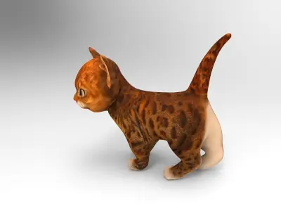 Cute cartoon Cat Rigged Low-poly 3D model